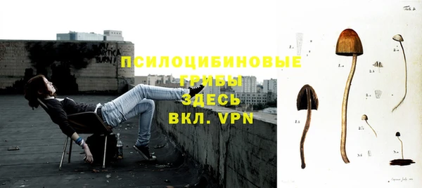 альфа пвп Карпинск