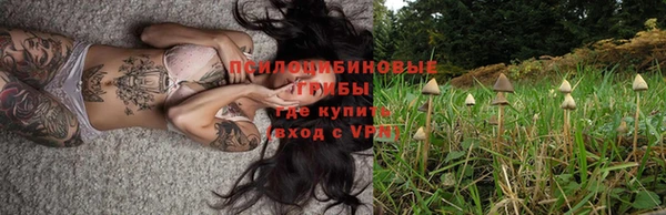 гашиш Касимов